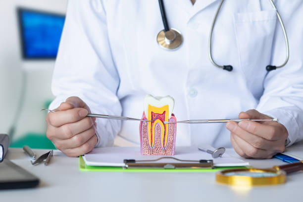 Best Emergency Broken Tooth Repair in Rural Hill, TN